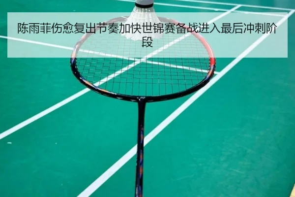 陈雨菲伤愈复出节奏加快世锦赛备战进入最后冲刺阶段 | OD.com